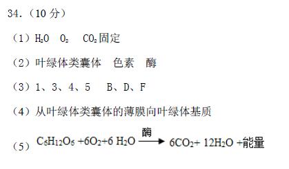 乌鲁木齐属于什么地区|乌鲁木齐地区2016-2017学年第一学期期末高一年级生物参考答案